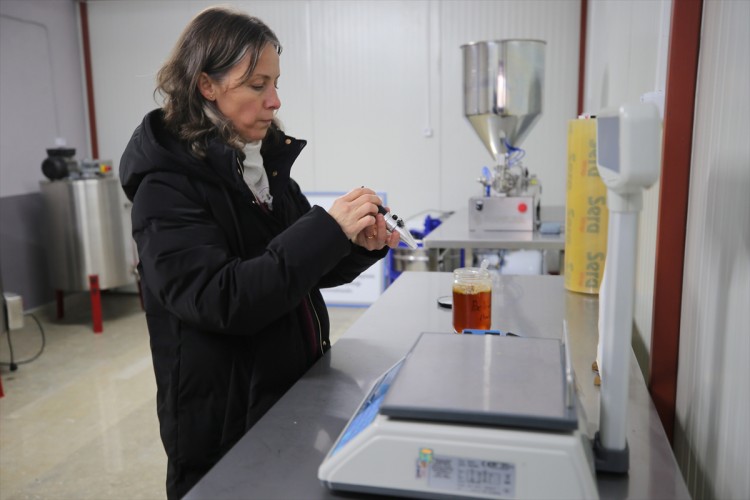 Gençlerin ve kadınların istihdamını hedefleyen arıcılık projesi tamamlandı