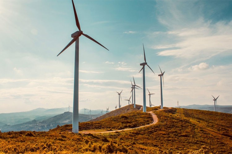 Rüzgar ve güneş enerjisi, fosil yakıtları geride bıraktı