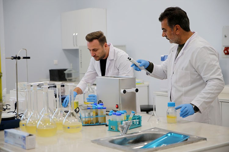 Fosil dizel yakıtın iyileştirilmesi üzerine çalışma