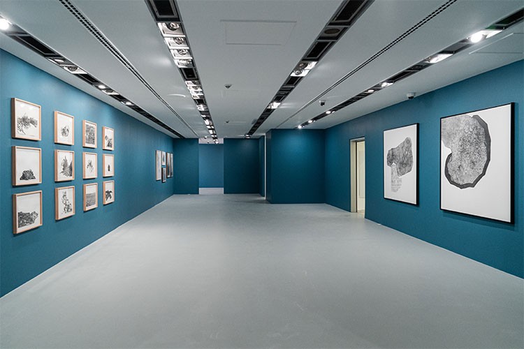 Akbank Sanat'ta Yeni Sergi