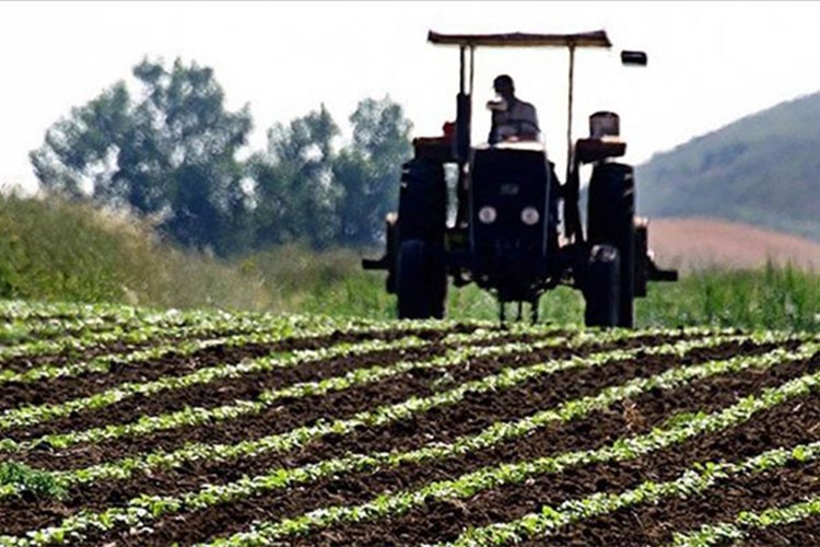 Tarım Arazilerini Etkinleştirme Projesi'ne destek