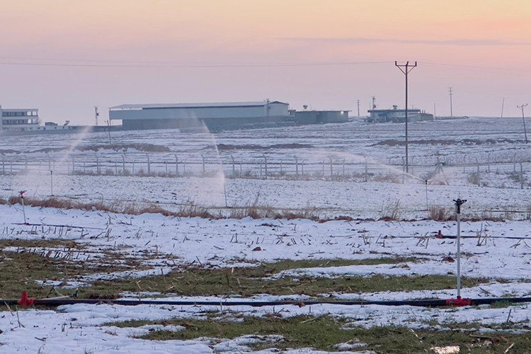 Karla kaplı arazide kaçak elektrikle sulama yapıldı