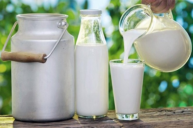 Süt destekleme ödemelerine ilişkin esaslar belirlendi