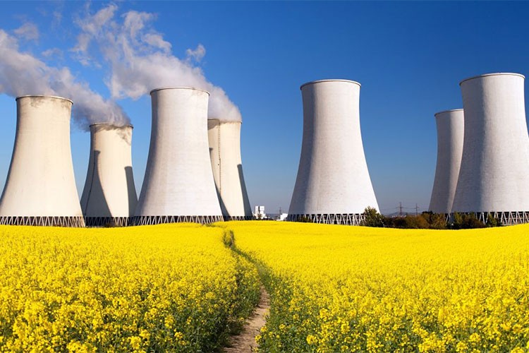 Nükleer enerji kapasitesini 3 katına çıkarma taahhüdüne destek