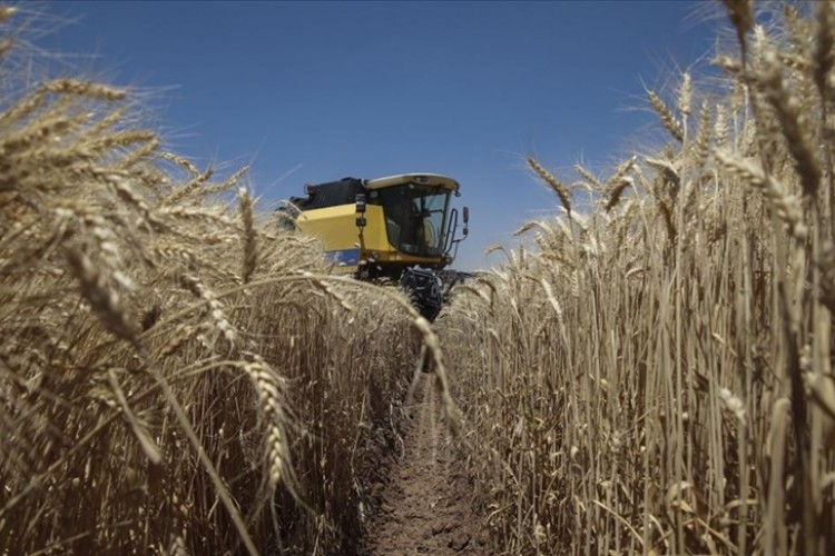 Tarım ÜFE yıllık yüzde 52,66 arttı