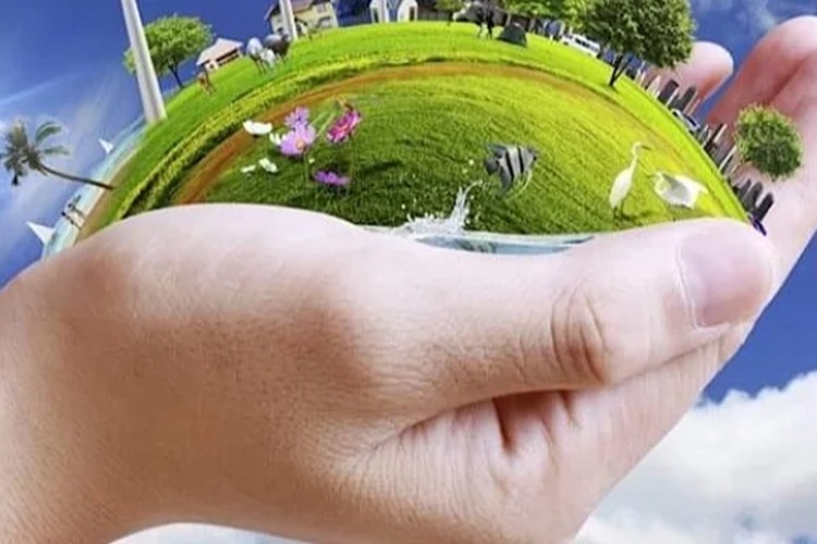 Çevreyi korumaya 2024'te 441 milyar lira harcandı