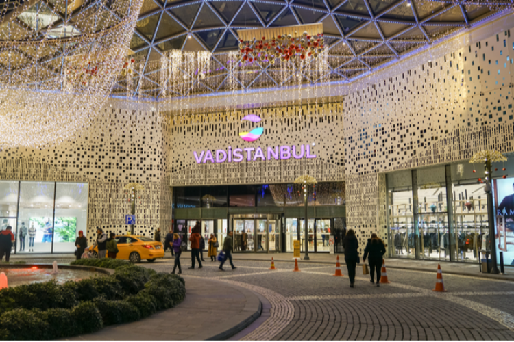 Vadistanbul'da "Sanat Günleri" başladı