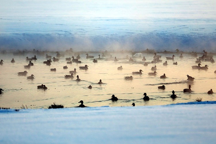Kura Nehri'nde oluşan buharlaşma gün batımıyla görüntülendi