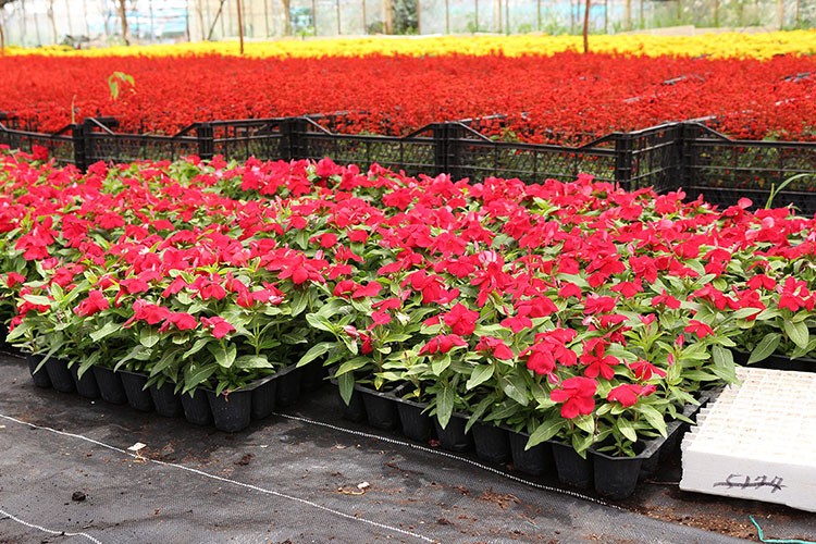 Hedef 125 milyonluk ihracat