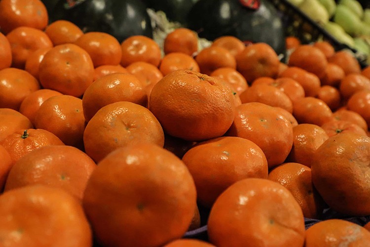 Doğu Akdeniz yılın ilk yarısında turunçgil ihracatını sırtladı