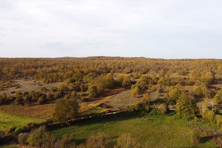 Ardahan'da sonbahar renkleri hakim oldu
