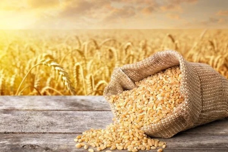 Egeli hububatçılar Güney Kore pazarında büyümeyi hedefliyor