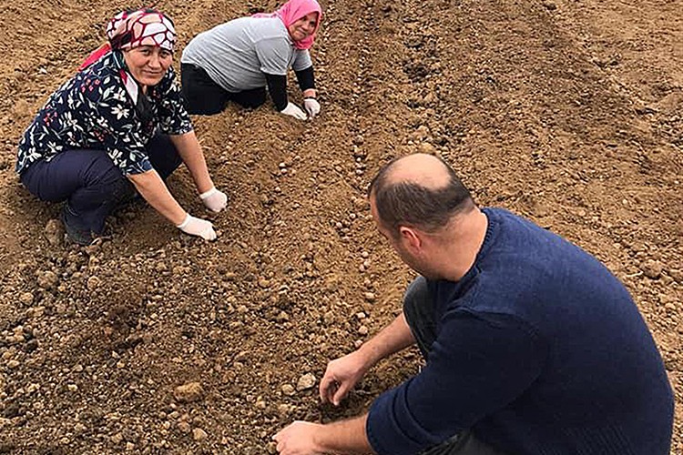 Kırsal kalkınmaya destek.