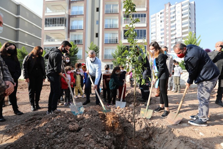 Mezitli'de turunç koruluğu açıldı