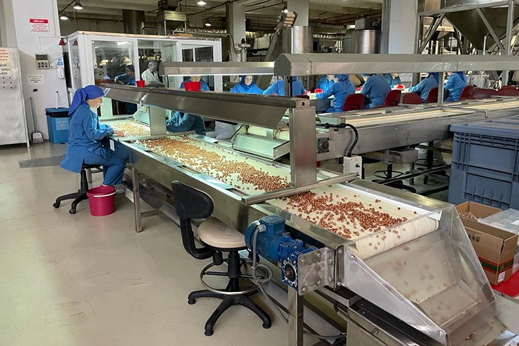 Almanya'ya 85 bin tonu aşkın fındık ihraç edildi