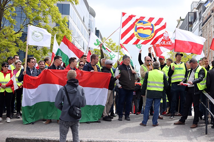 AB'nin tarım politikasına çiftçilerden tepki