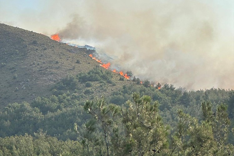 Gökçeada'daki orman yangını 16 saat sonra kontrol altına alındı