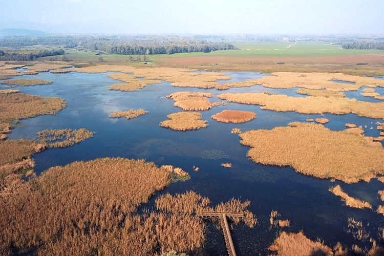 Sulak alan kaybı, küresel ekonomiyi tehdit ediyor