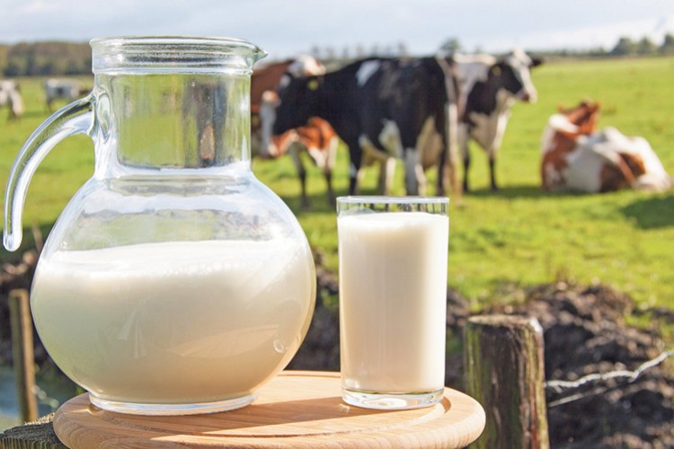 Referans fiyatının market satış fiyatlarına etki etmesi beklenmiyor