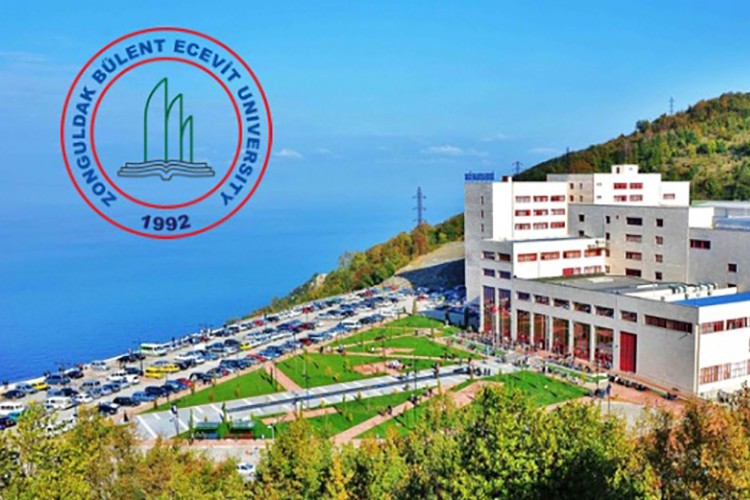 Akademisyen alınacak