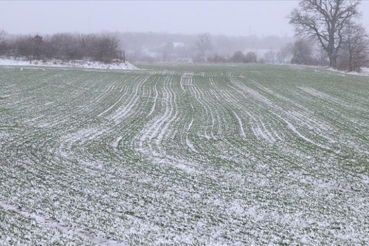 Edirne'de kar buğday üreticilerini sevindirdi