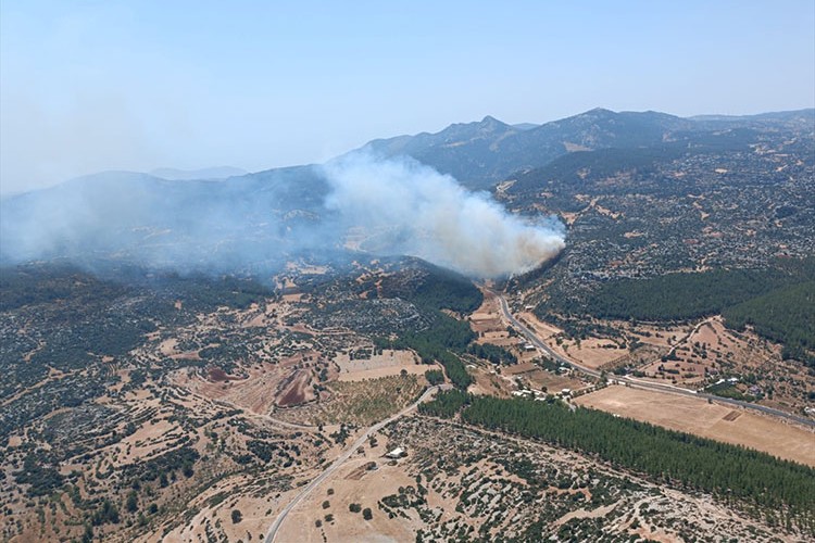 Mersin'de çıkan orman yangınına müdahale edildi