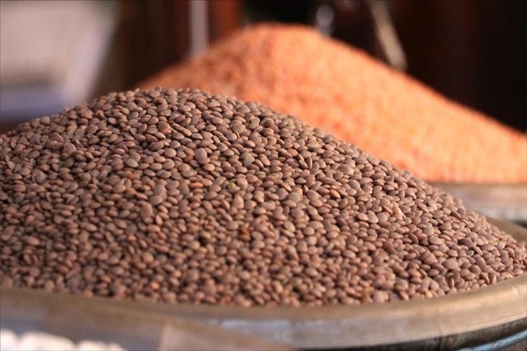 Hububat ve bakliyat ihracatı 1 milyar dolara dayandı