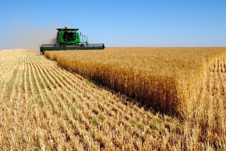 Tarım ÜFE kasımda aylık yüzde 4,57 arttı