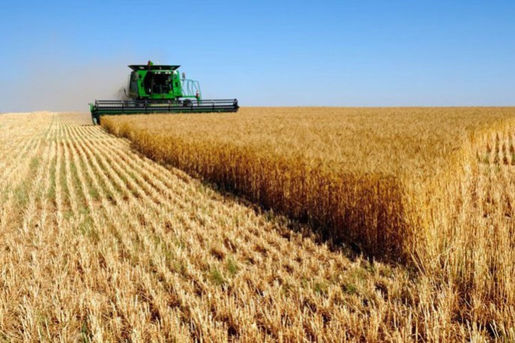 Tarım ÜFE kasımda aylık yüzde 4,57 arttı