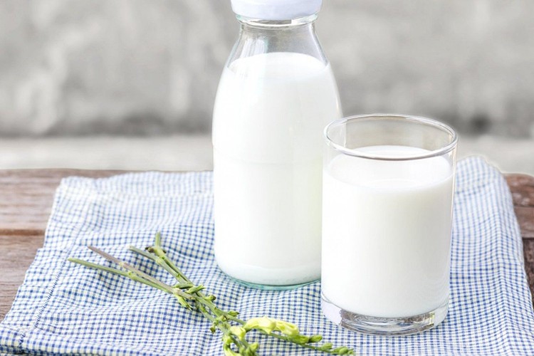 Toplanan süt miktarıyüzde 3,1 arttı