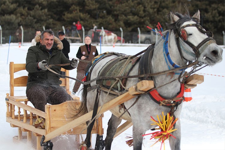 Erzurum'da, Geleneksel Atlı Kızak Şöleni düzenlendi