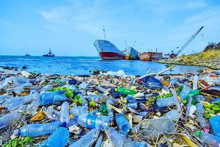 Plastik kirliliğini azaltmak ve 1,3 trilyon dolar gerek