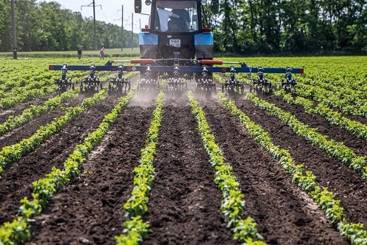 Kırsal Dezavantajlı Alanlar Kalkınma Projesi'ne 4 il dahil edildi
