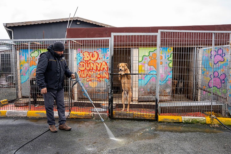 Kärcher Türkiye'den, Hayvan Barınağına Hijyen Seferberliği…