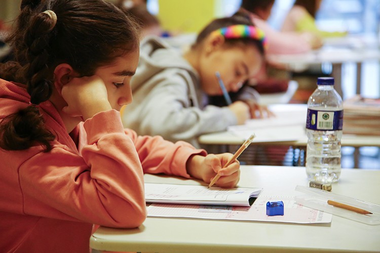 Doğa Koleji Bursluluk Sınavı'na başvuru için son 3 gün