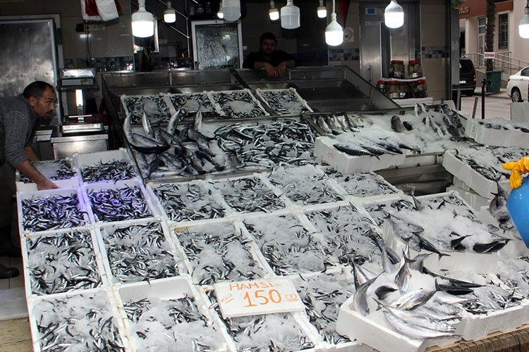 Sinop'ta balıkçı tezgahları hamsiyle doldu