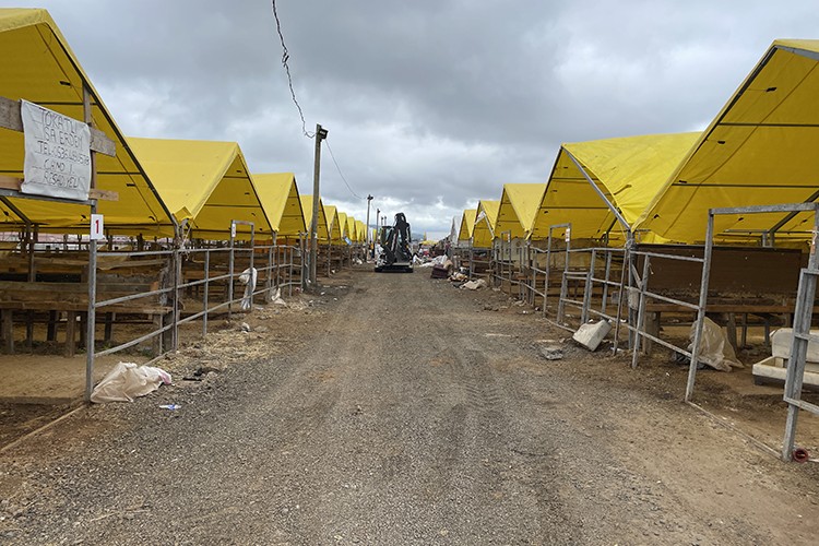 İstanbul'da kurban satış noktaları sakinleşti