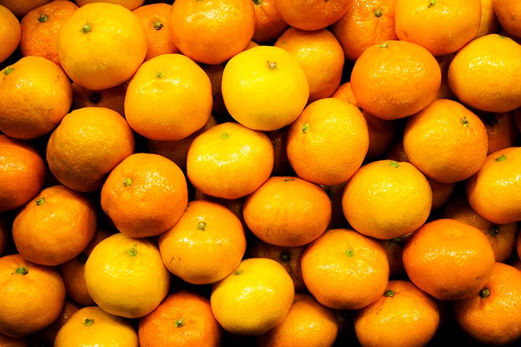 Satsuma ihracat yolunda