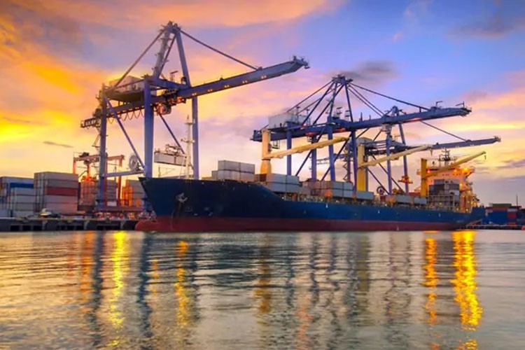 Türk denizcilik sektöründe sürdürülebilirlik adımları