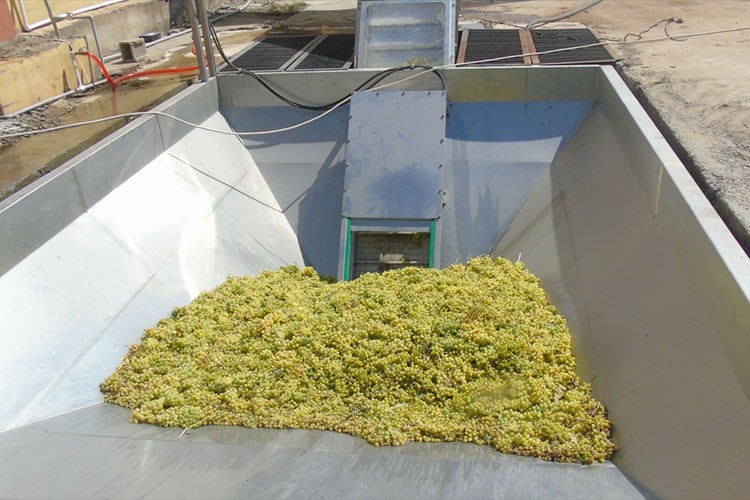 İslahiye'de "koruk ekşisi"nin seri üretimine başlandı