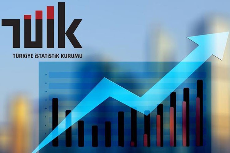 TÜİK veri toplama iddialarına yanıt verdi