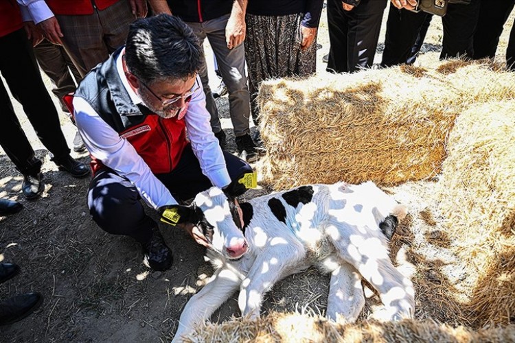 Bakan Yumaklı: Hayvancılık desteğinde hiçbir tereddüt yaşanmayacak bir sistemi hayata geçiriyoruz