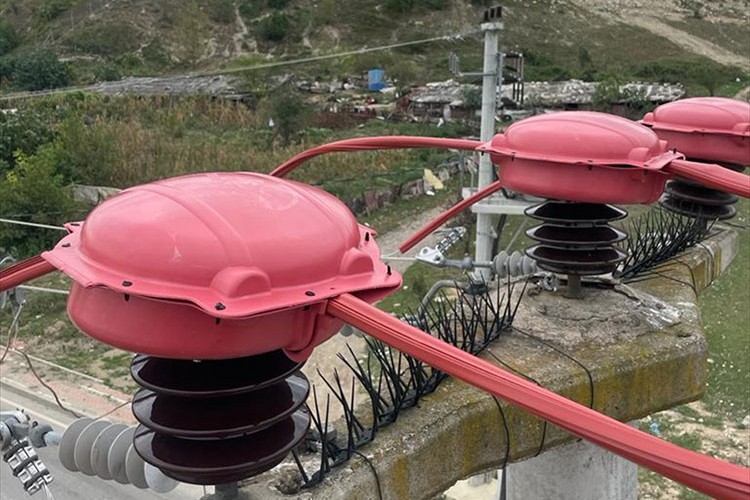 SEDAŞ, leyleklerin güvenli yolculuğu için Kocaeli'de harekete geçti