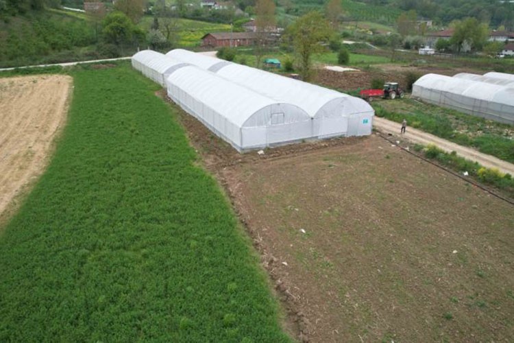 Kocaeli'nde 42 yeni sera üreticilere teslim edildi