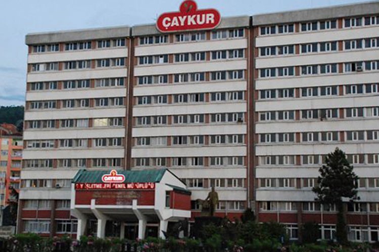 ÇAYKUR yaş çay ödemelerine başladı