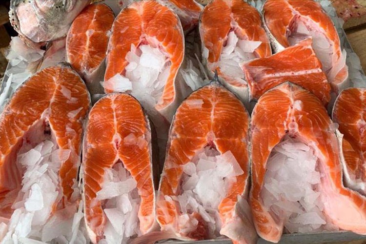 Türk somonu ihracatında hedef milyar dolara ulaşmak