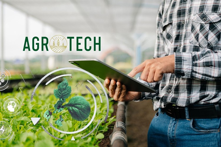 Agrotech'in talep toplama süresi yarın bitiyor