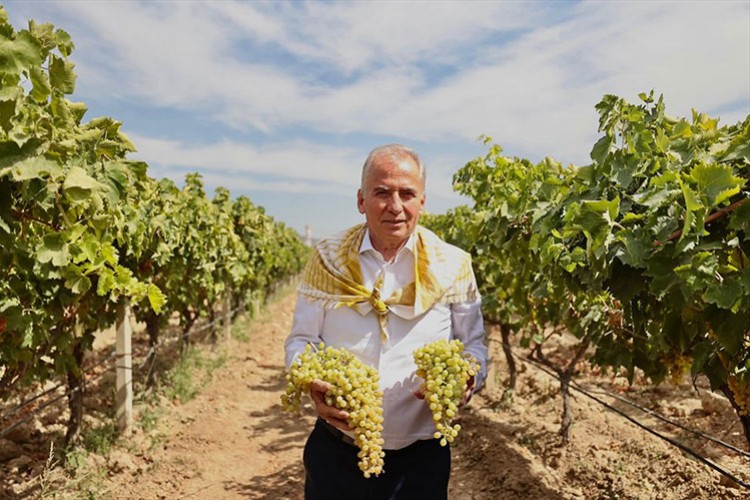 Denizli Büyükşehir'in örnek projesi başarıyla sürüyor