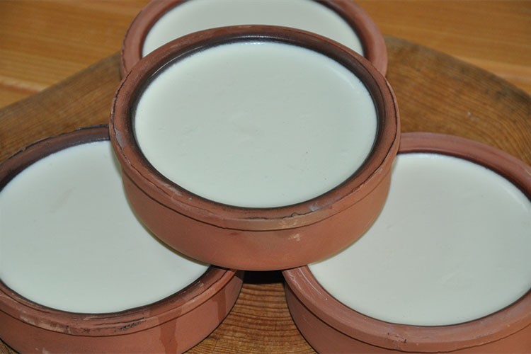 Silifke yoğurdu, Avrupa sofralarına girecek