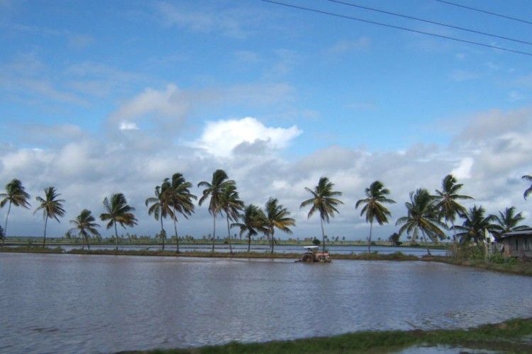 IMF'nin büyüme beklediği ülke